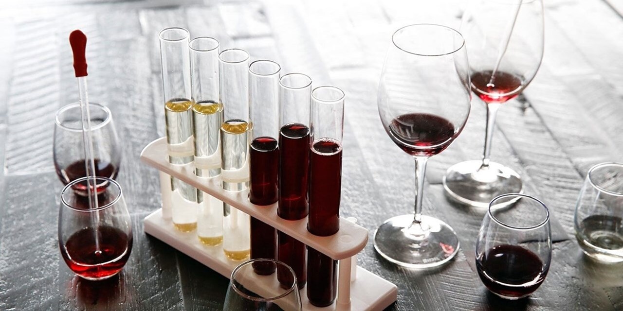 Today's the day to become a sommelier