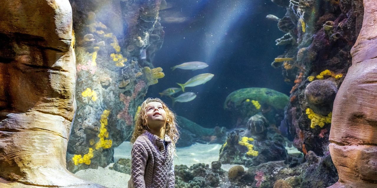 Get close to aquatic life here