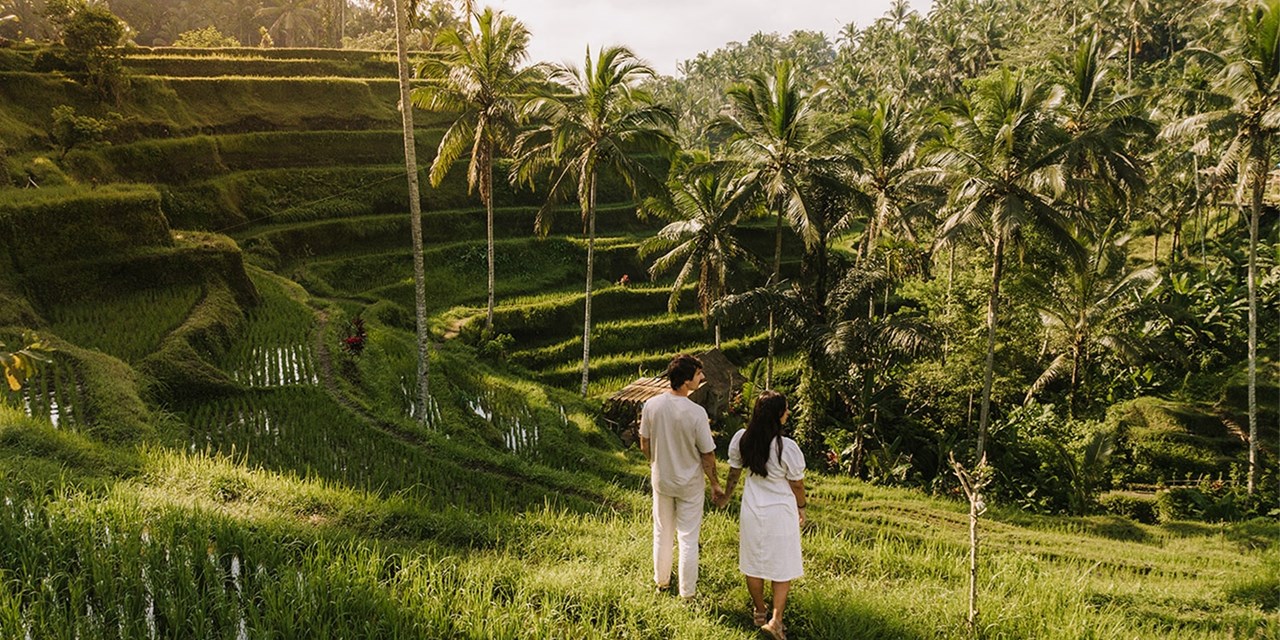 Visitando los campos de arroz de Bali