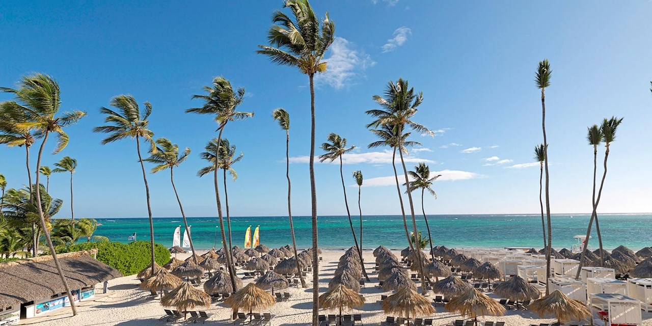 Swaying palms at the beach 