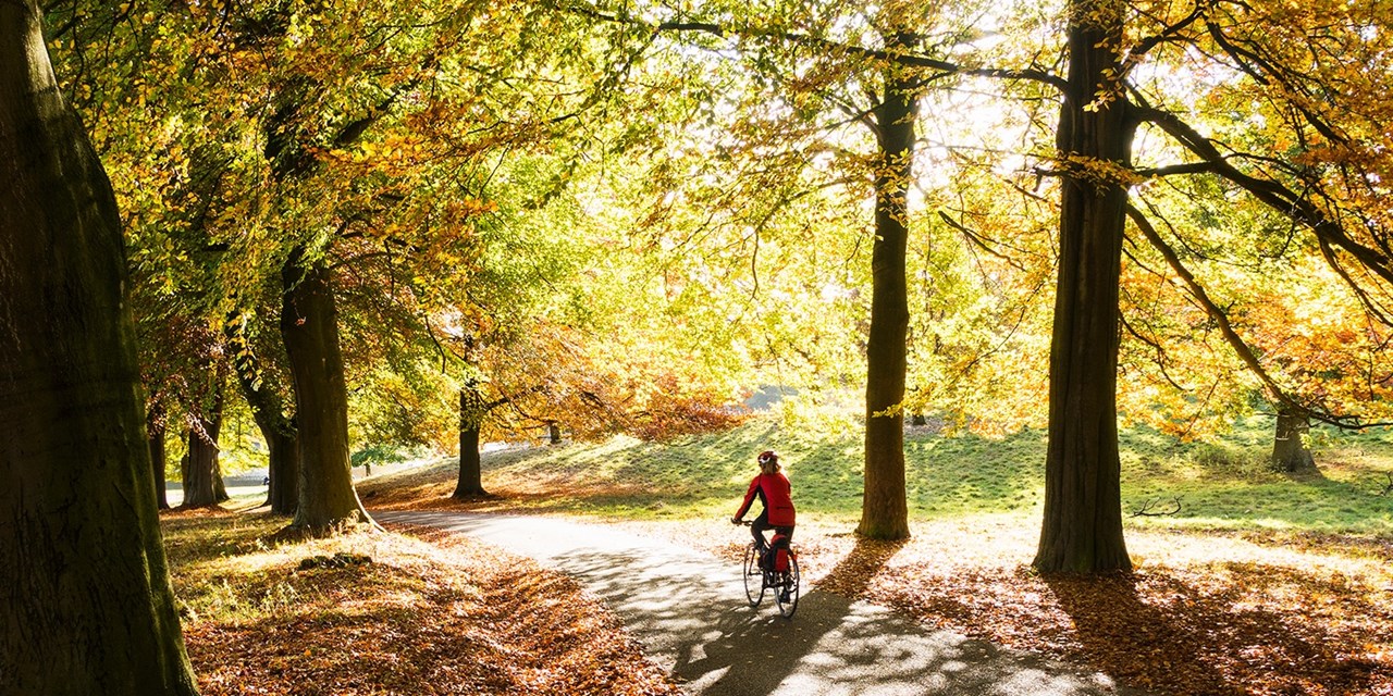 Take a stroll or a cycle through the nearby countryside