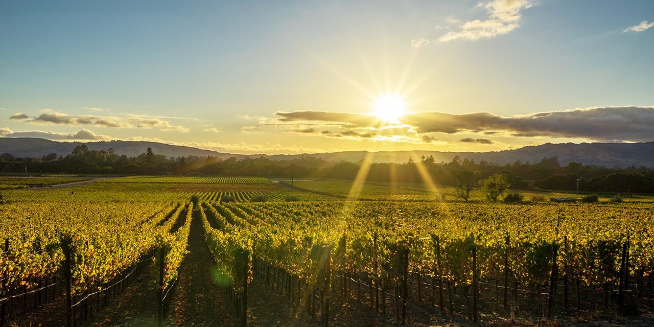 Sonoma