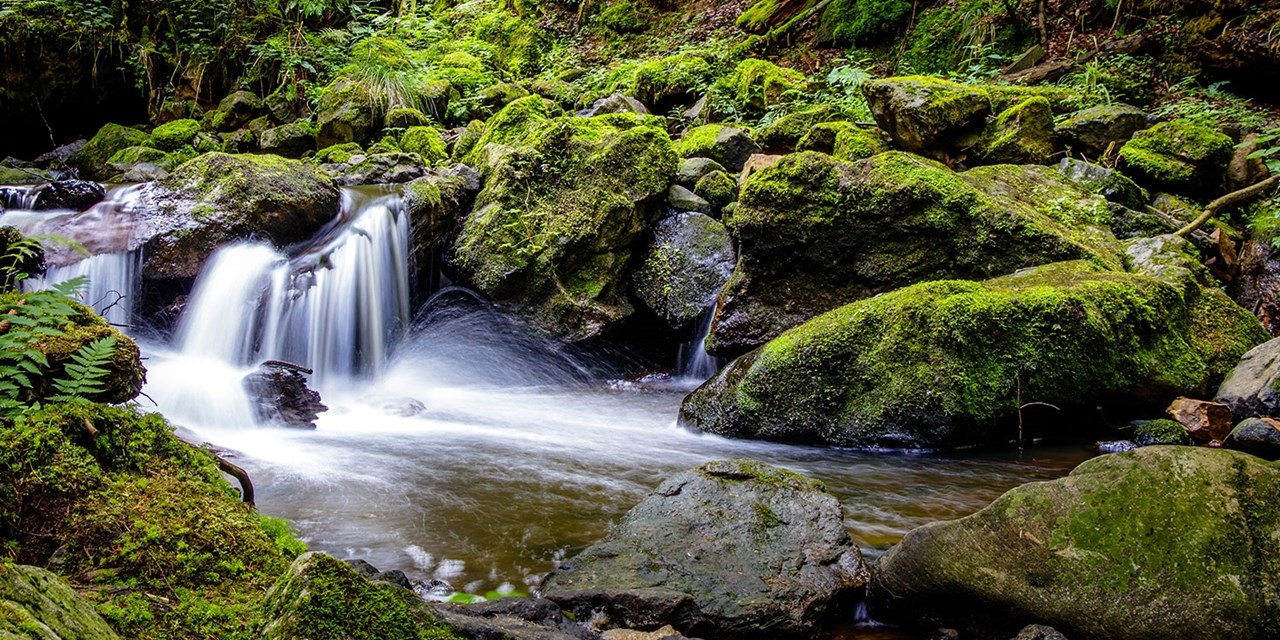 Schwarzwald: 3 Tage mit Halbpension