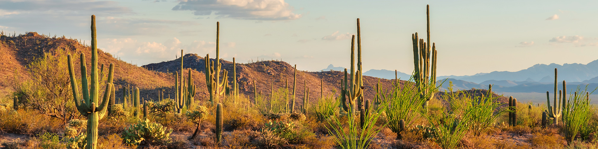 $879 & up -- Self-drive Arizona & Nevada trip w/car & air
