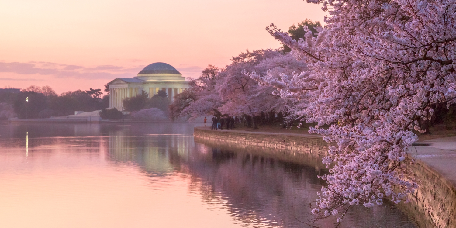 Spring is a great time to visit DC