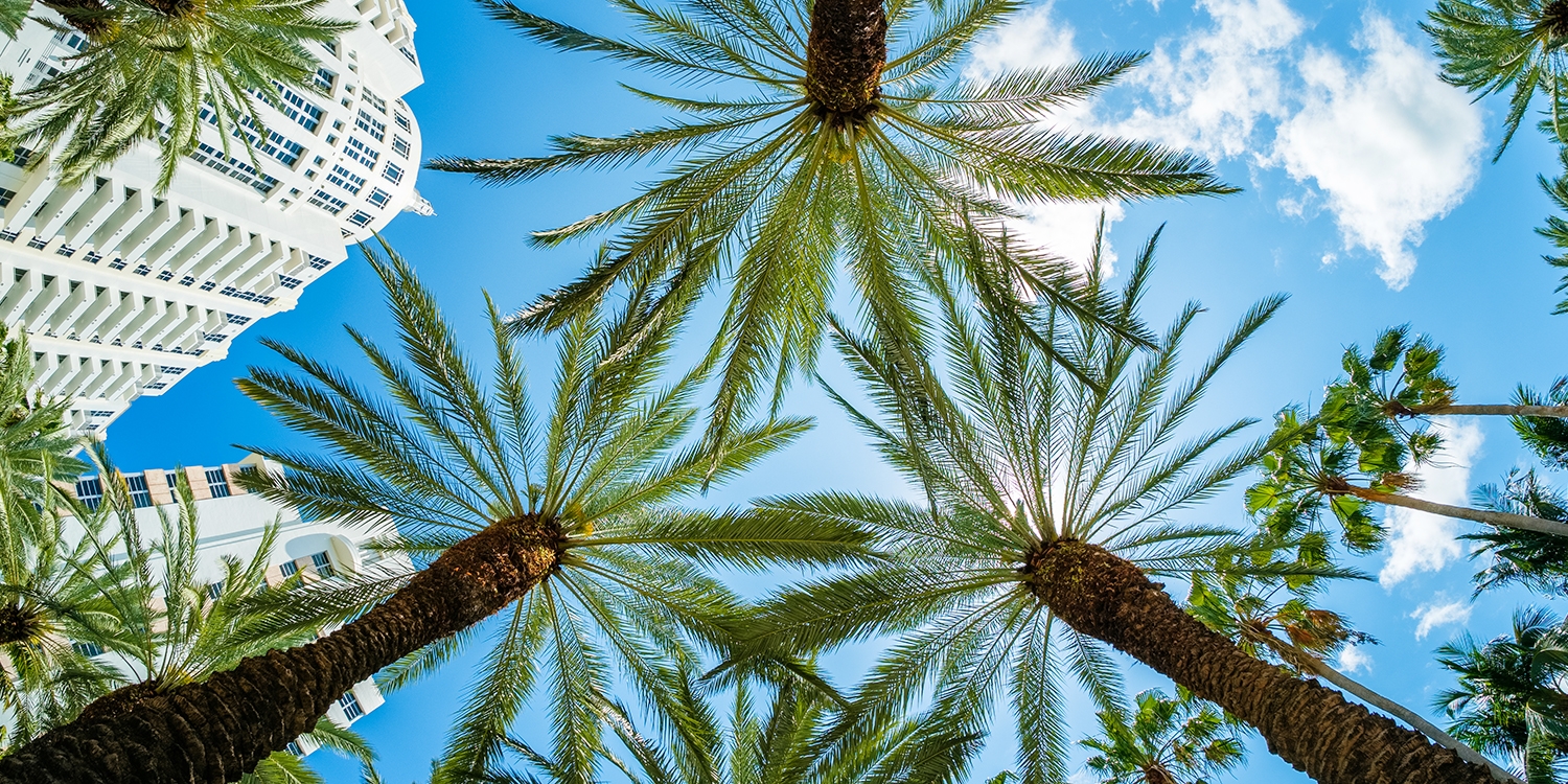 Save up to 57% on select stays May–October