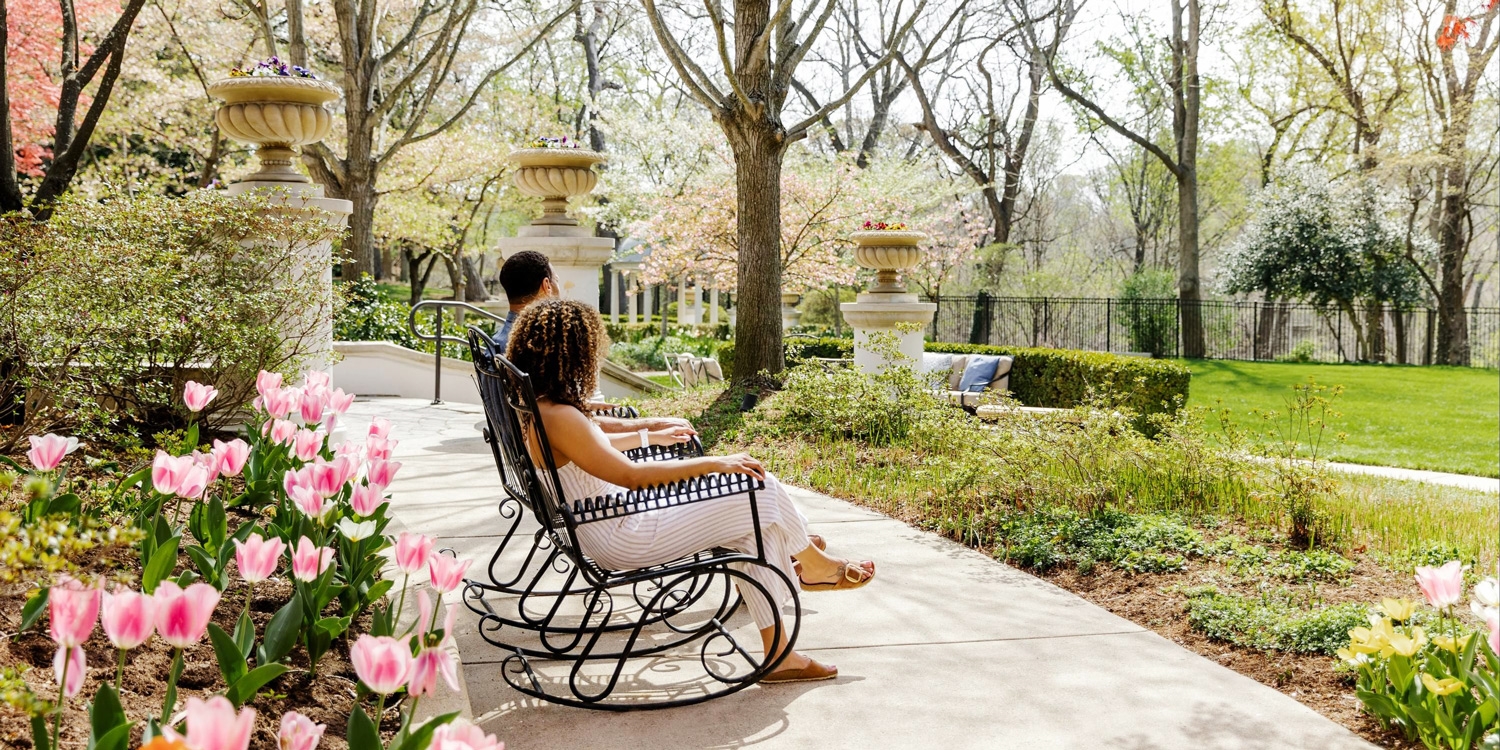 Spring literally blossoms in the nation's capital