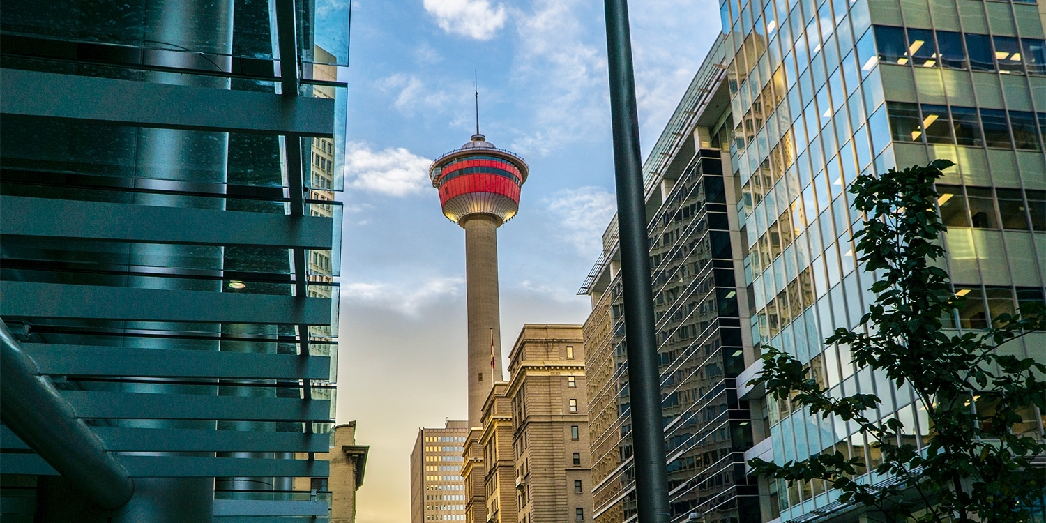 The hotel features a 24-hour fitness centre, free Wi-Fi, outdoor leisure equipment rental and pet-friendly rooms