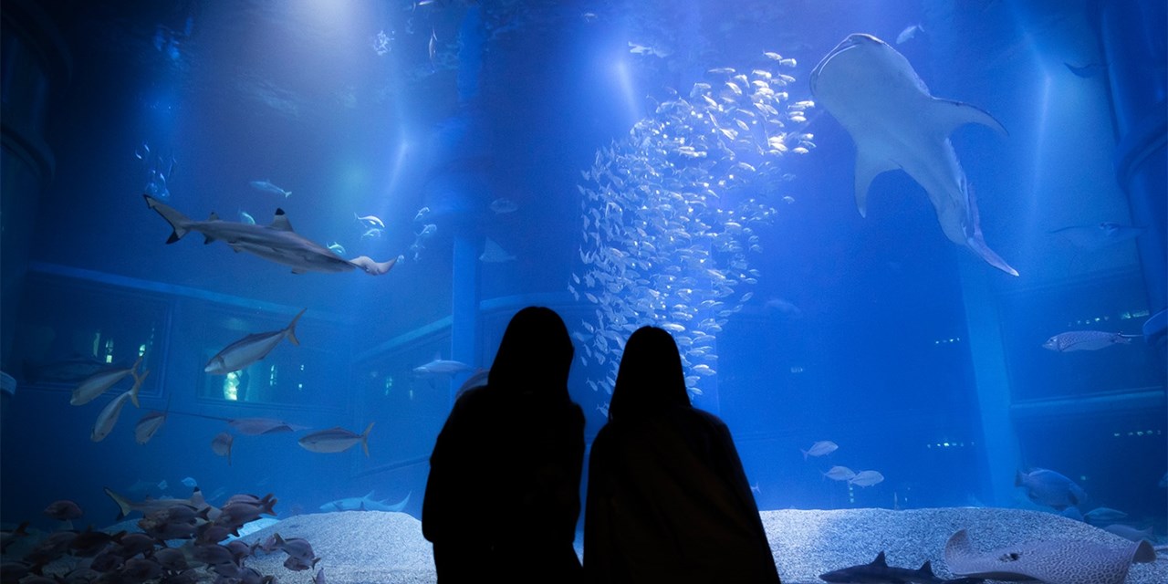 This 1.5-million-gallon aquarium is full of sharks, rare fish and seals