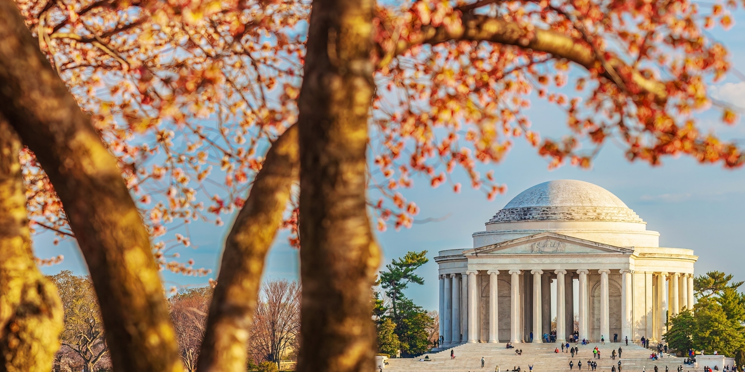 Go in March and you might see the first of the cherry blossom bloom