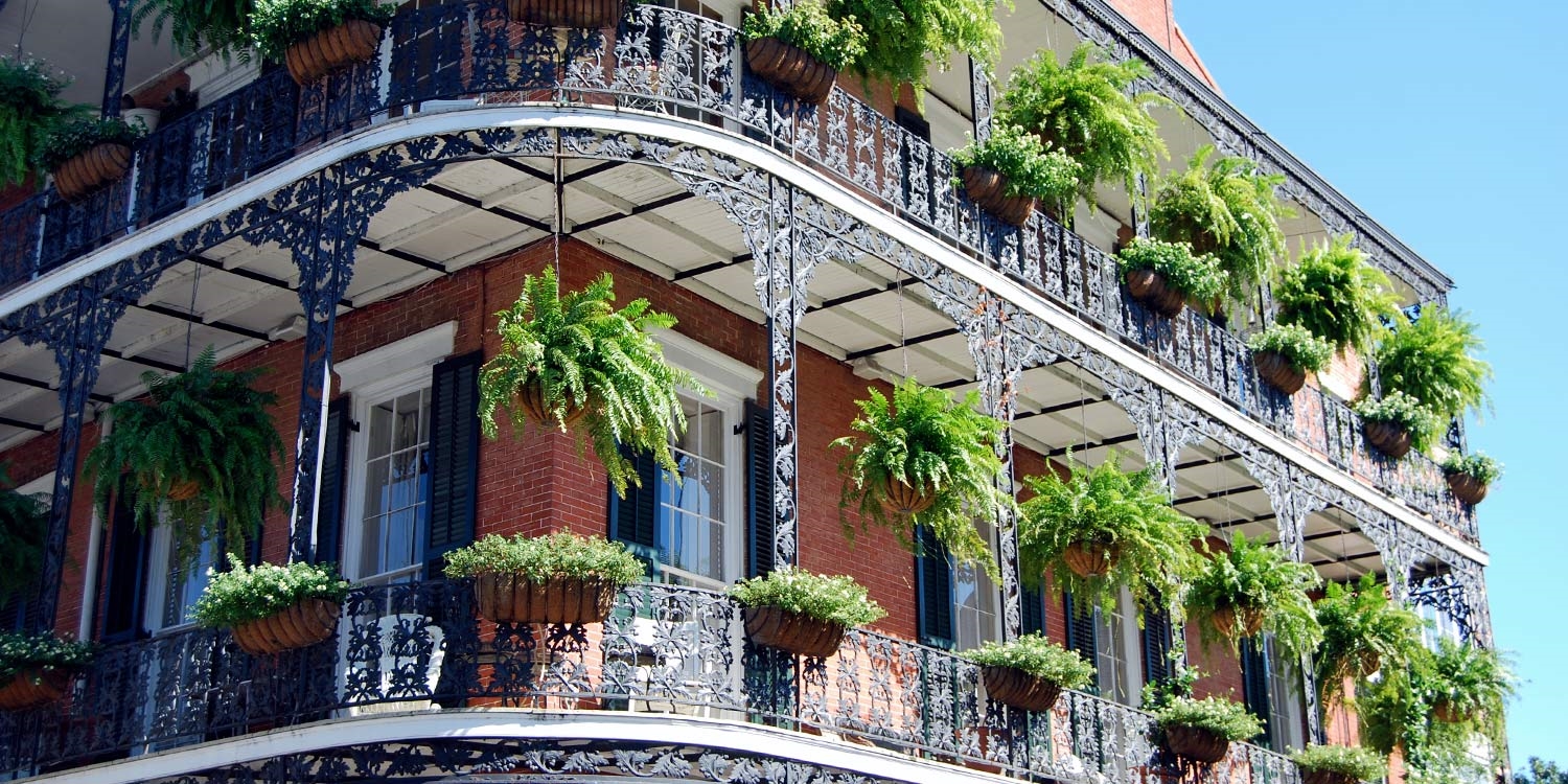 Spend a day or two in the center of the action, the French Quarter (only 15 minutes from the hotel)