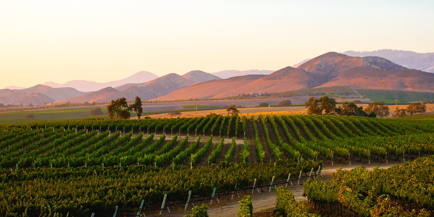 Imagine taking a stroll through the picturesque Sonoma Valley
