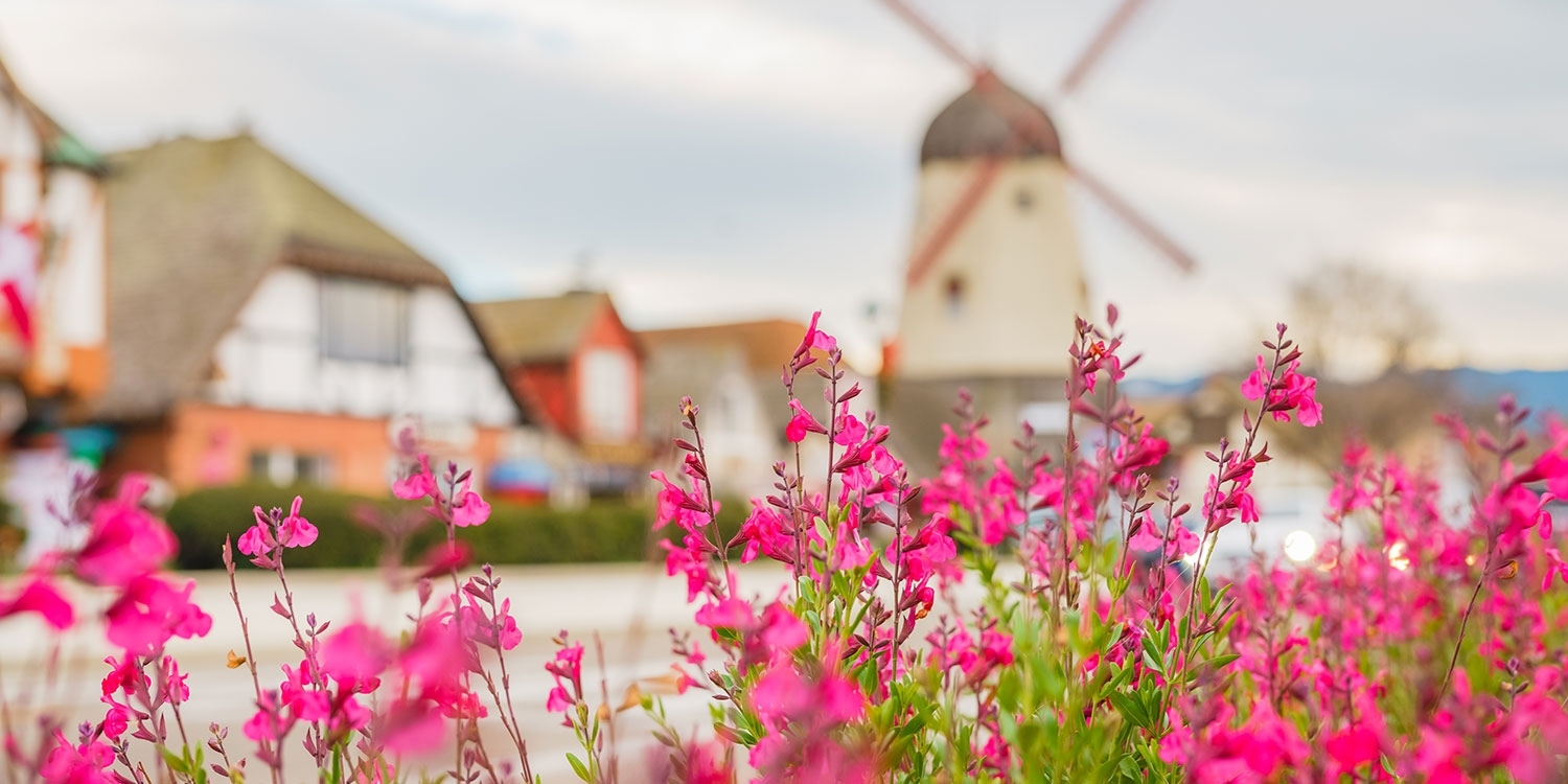 Experience a taste of Denmark (no passport needed) when you visit downtown Solvang