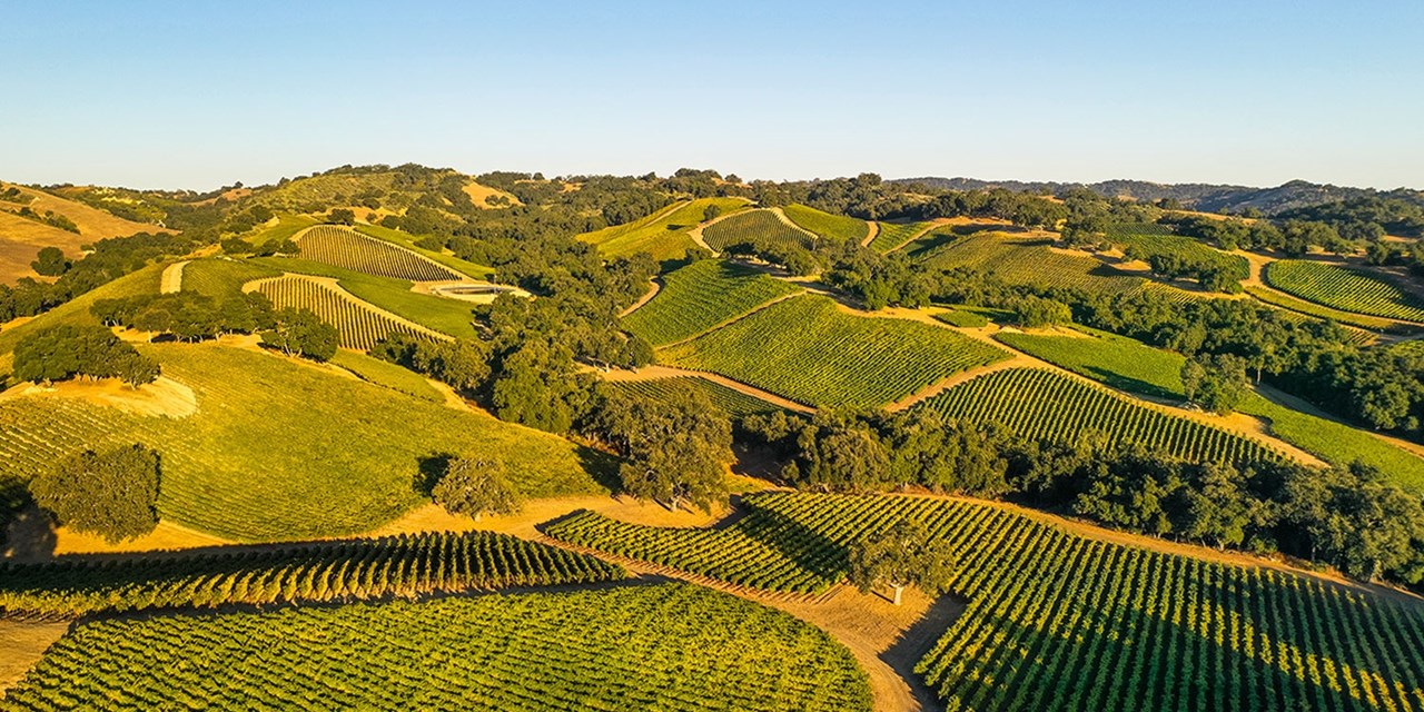This no-brainer deal lets you explore Paso Robles Wine Country without breaking the bank