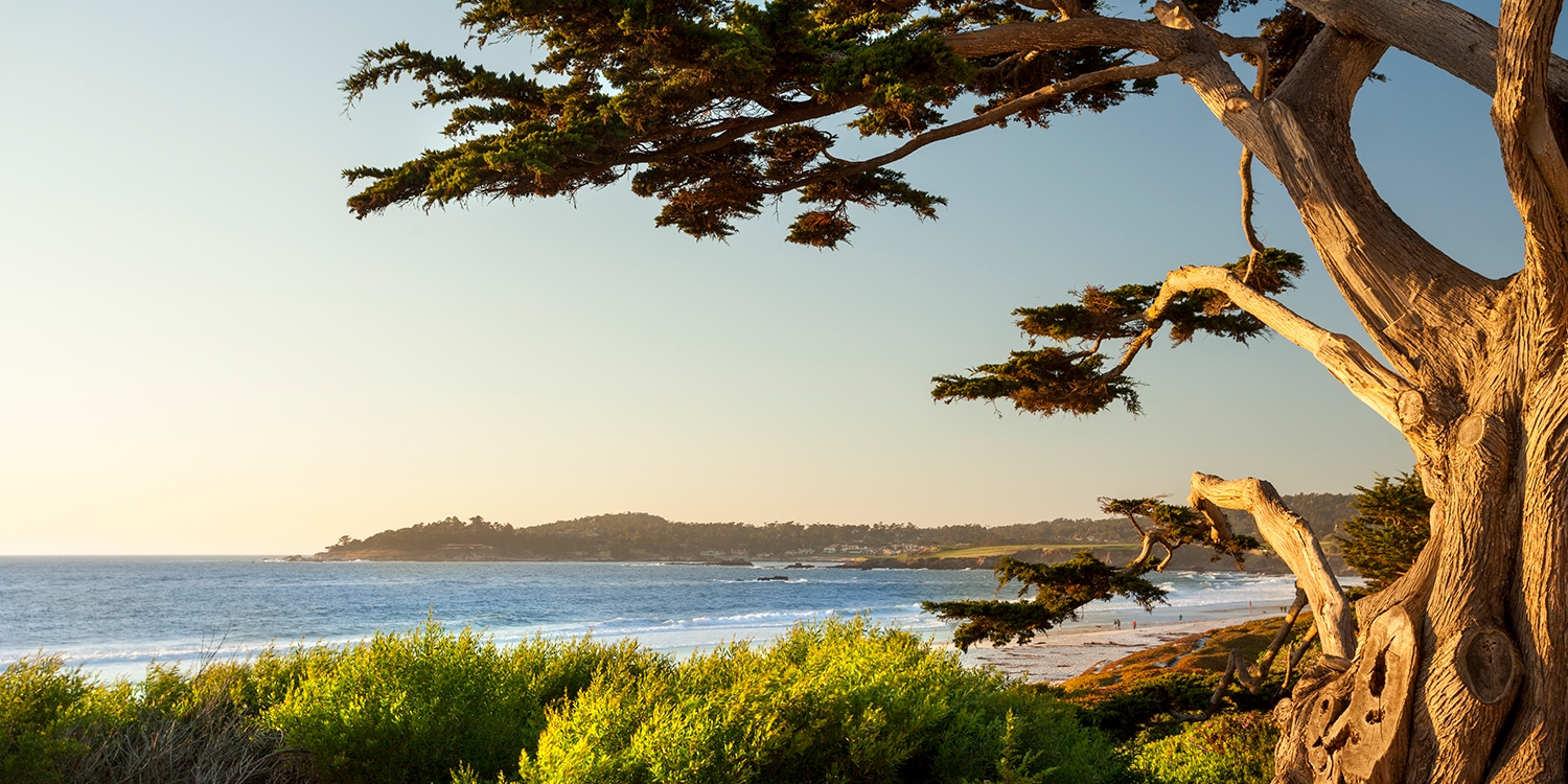 Carmel-by-the-Sea is beautiful any time of year