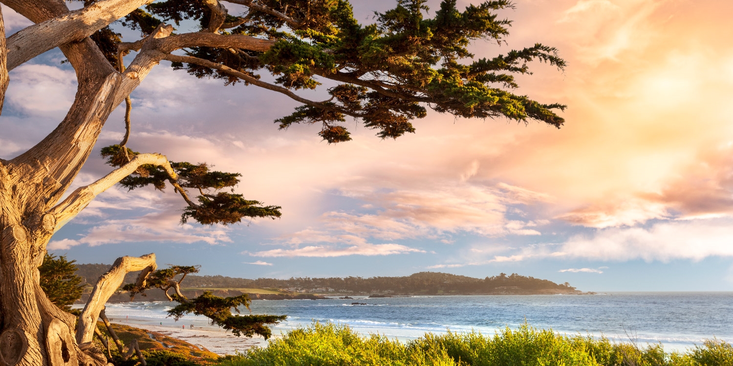 Downtown Carmel-by-the-Sea and Point Lobos State Reserve are about a 15-minute drive from the hotel