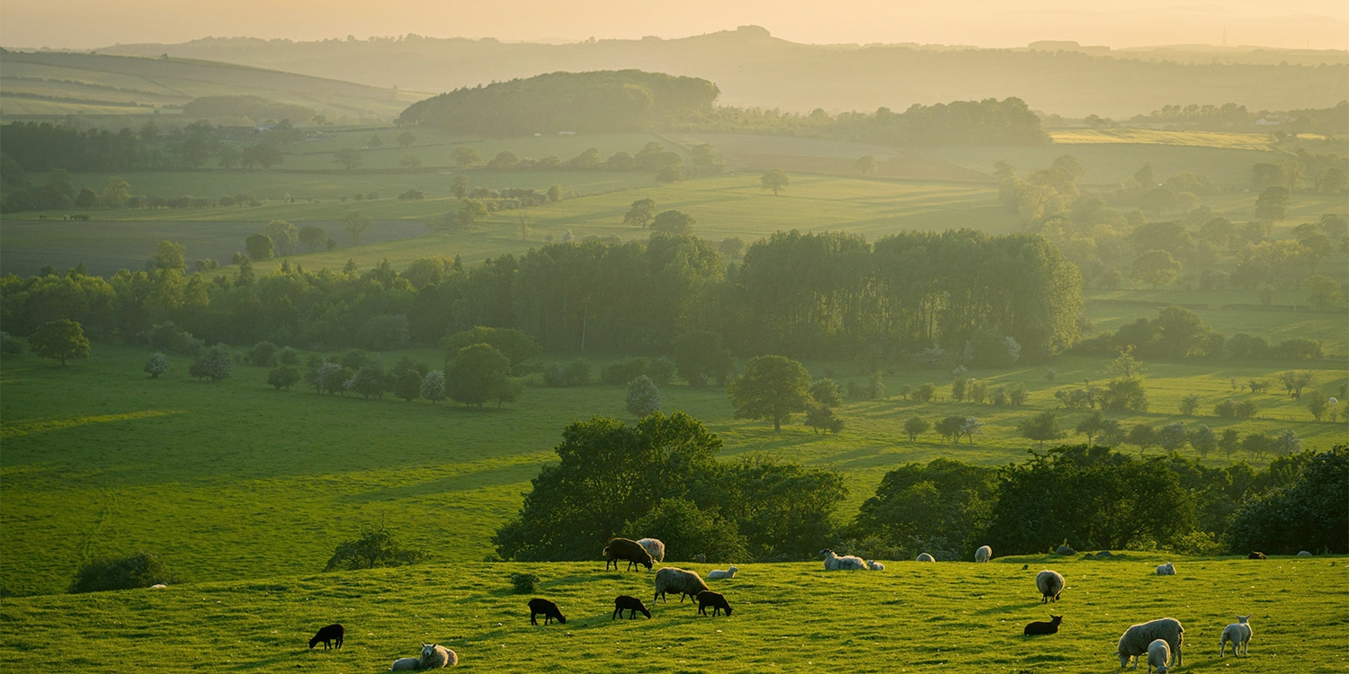 Swinton Estate is on the edge of the picturesque Yorkshire Dales