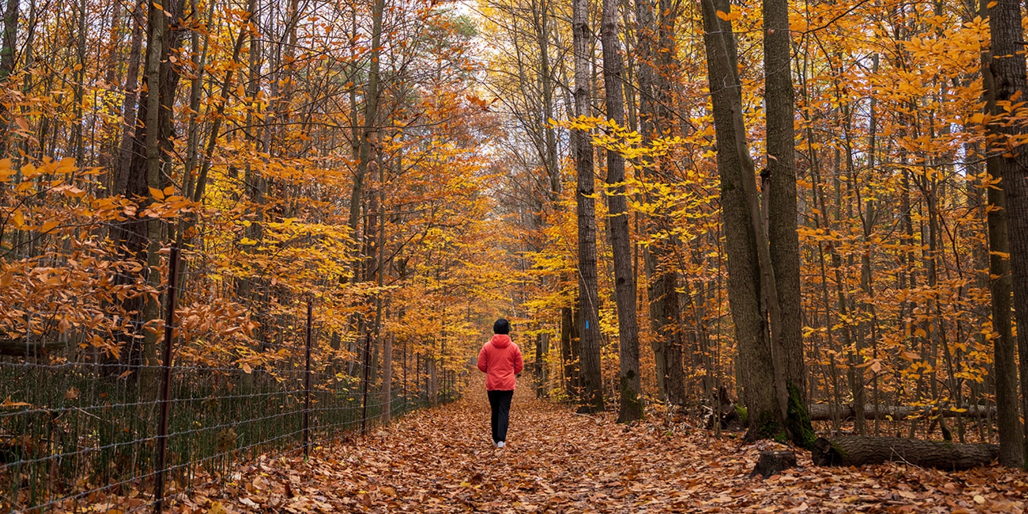 $271—Countryside resort near Toronto w/breakfast, 40% off -- Mono, ON