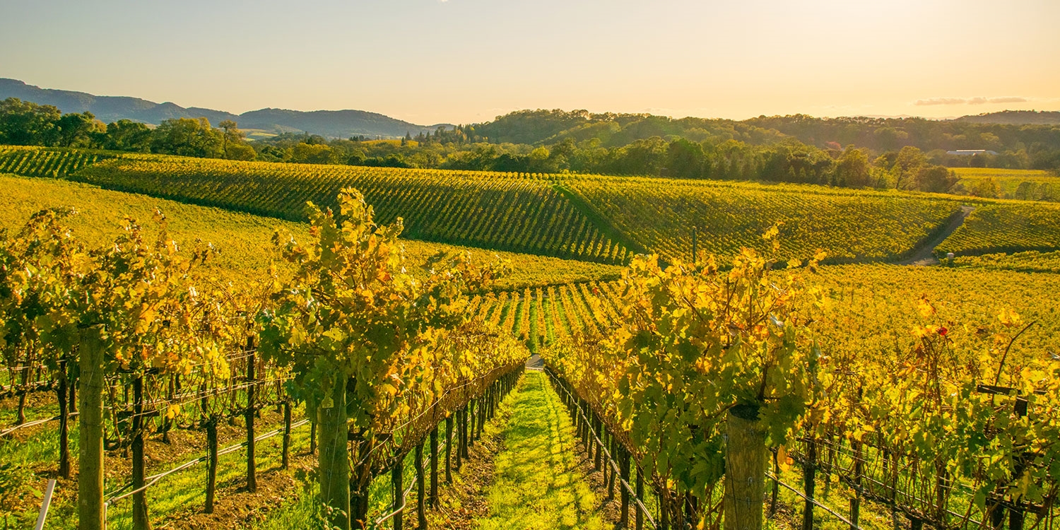 Calistoga is at the northern tip of Napa Wine Country
