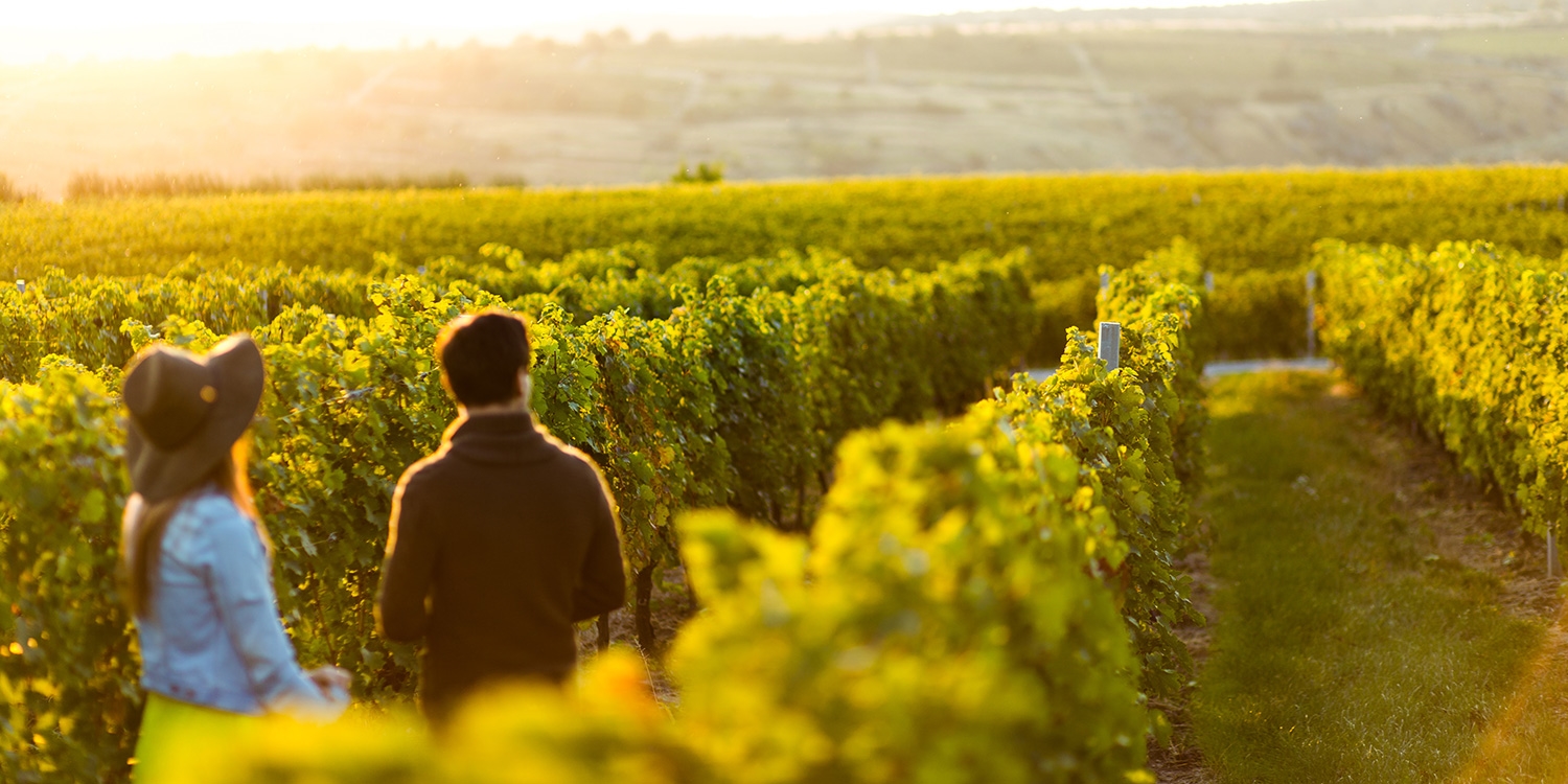 Just for Members, we've negotiated 39%–45% savings