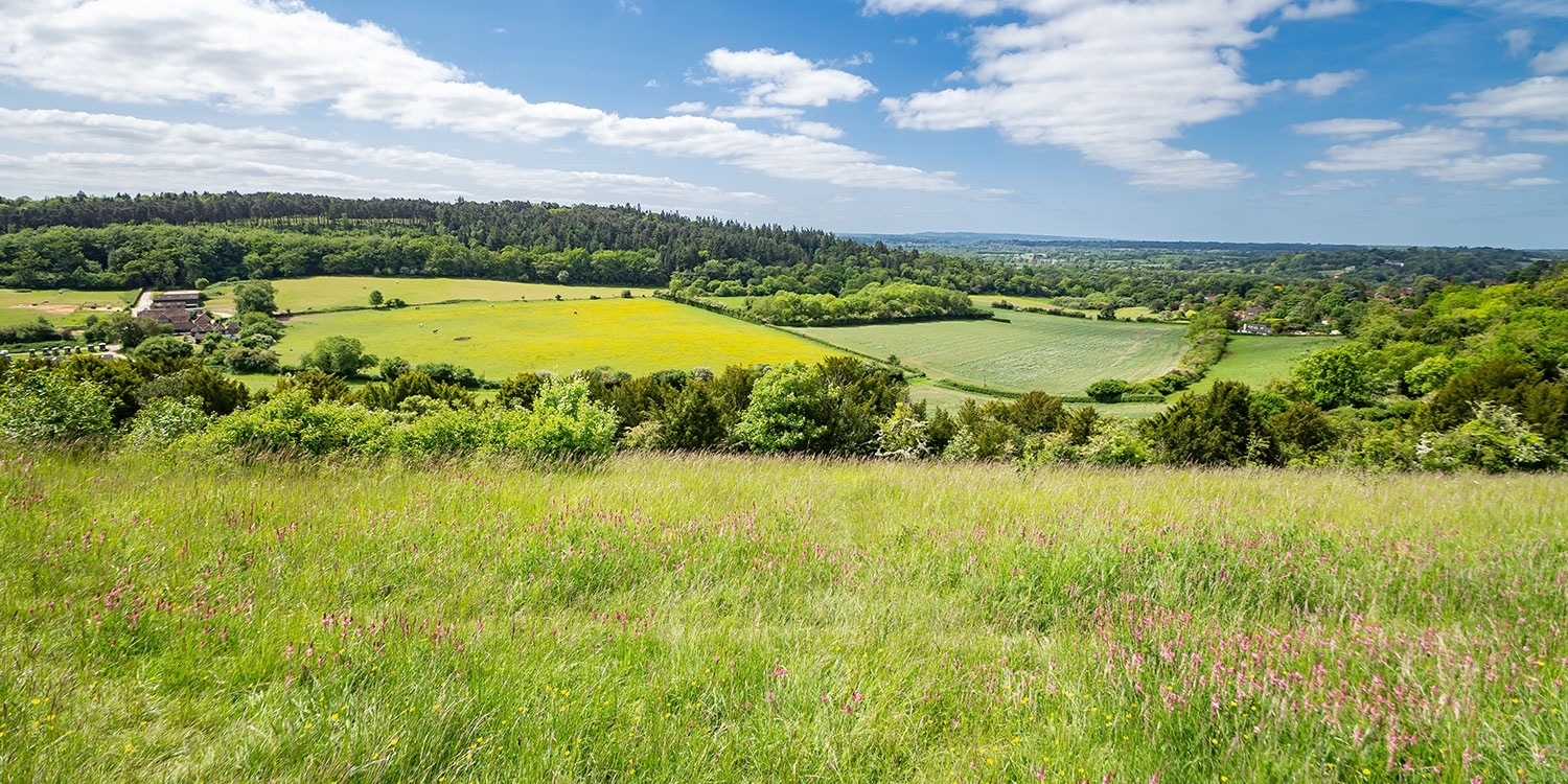 There's a huge choice of walking routes on offer in the Surrey Hills