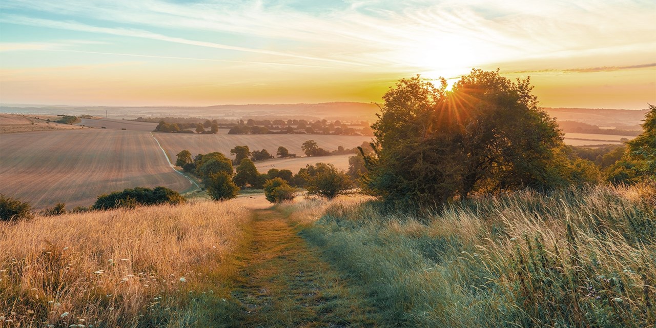 The Mercure Thame Lambert is well placed for exploring Oxfordshire's countryside