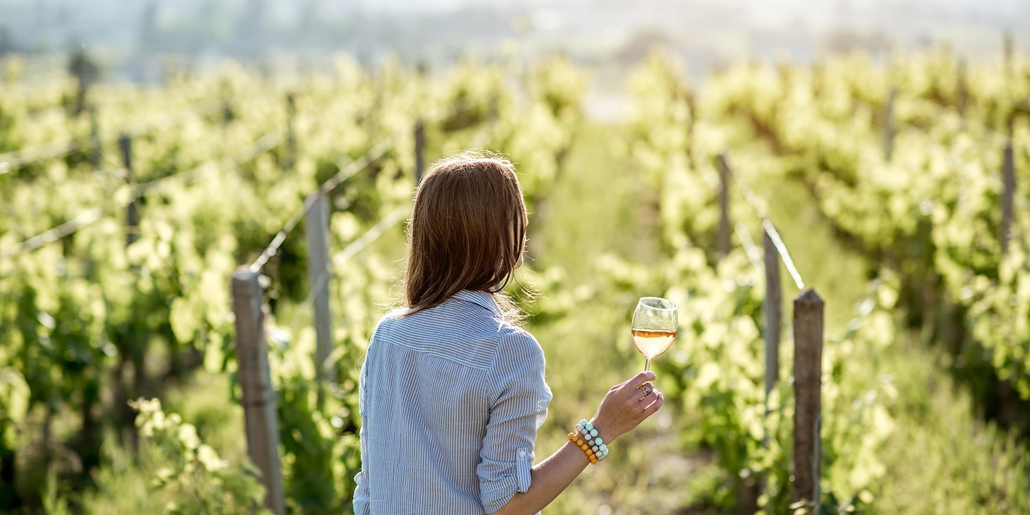 Picture yourself strolling through vineyards with a glass of wine in hand