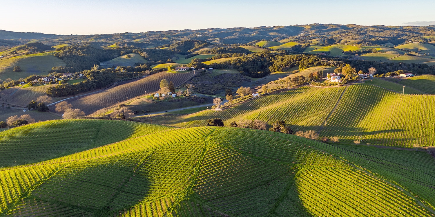 Explore the beauties of California's Central Coast, including dozens of wineries