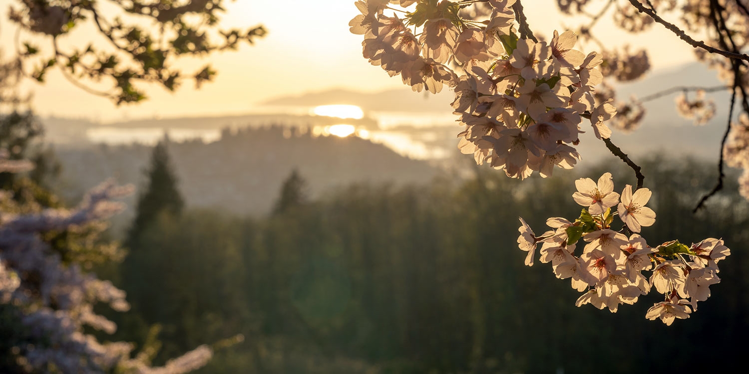 Plan a getaway to Vancouver