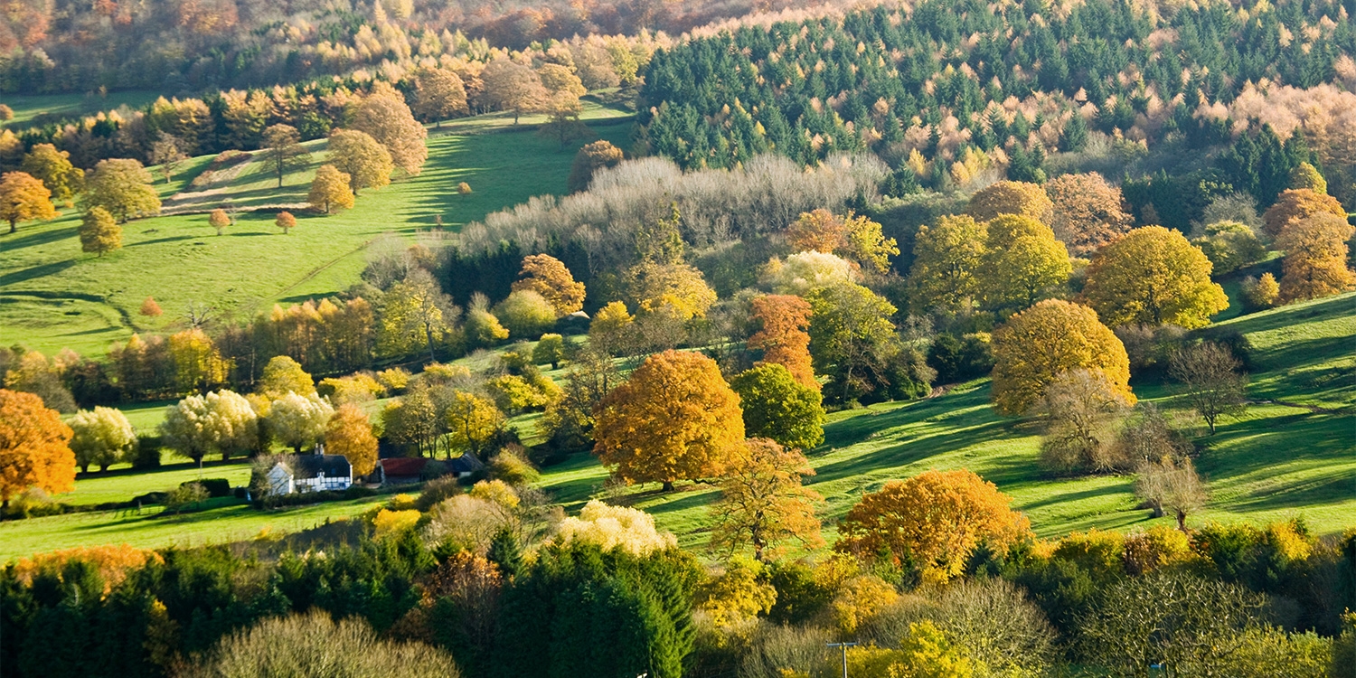 Explore the Cotswolds National Landscape