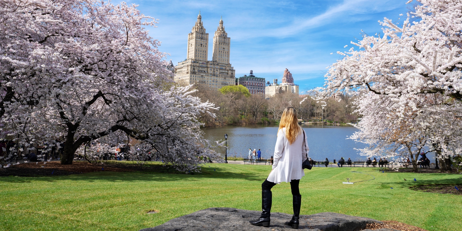 This boutique property is only 3 blocks from Central Park