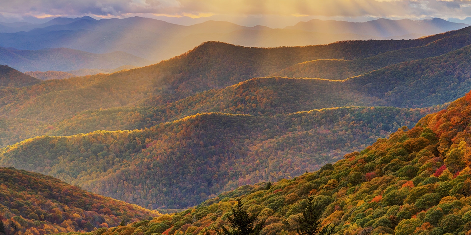 Take in the natural beauty of the Blue Ridge Mountains