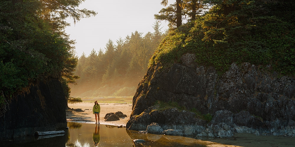 $144–$195—Fall stays along Tofino Inlet -- Tofino, British Columbia