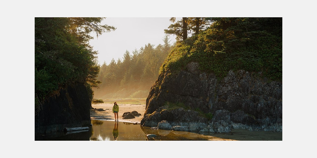 $144–$195—Fall stays along Tofino Inlet -- Tofino, British Columbia
