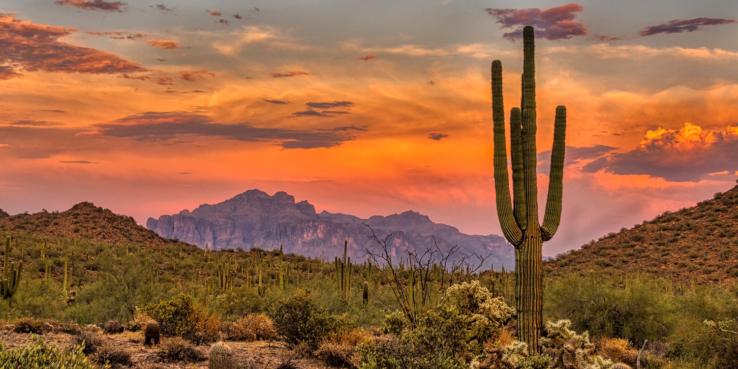 Take in the breathtaking desert landscape