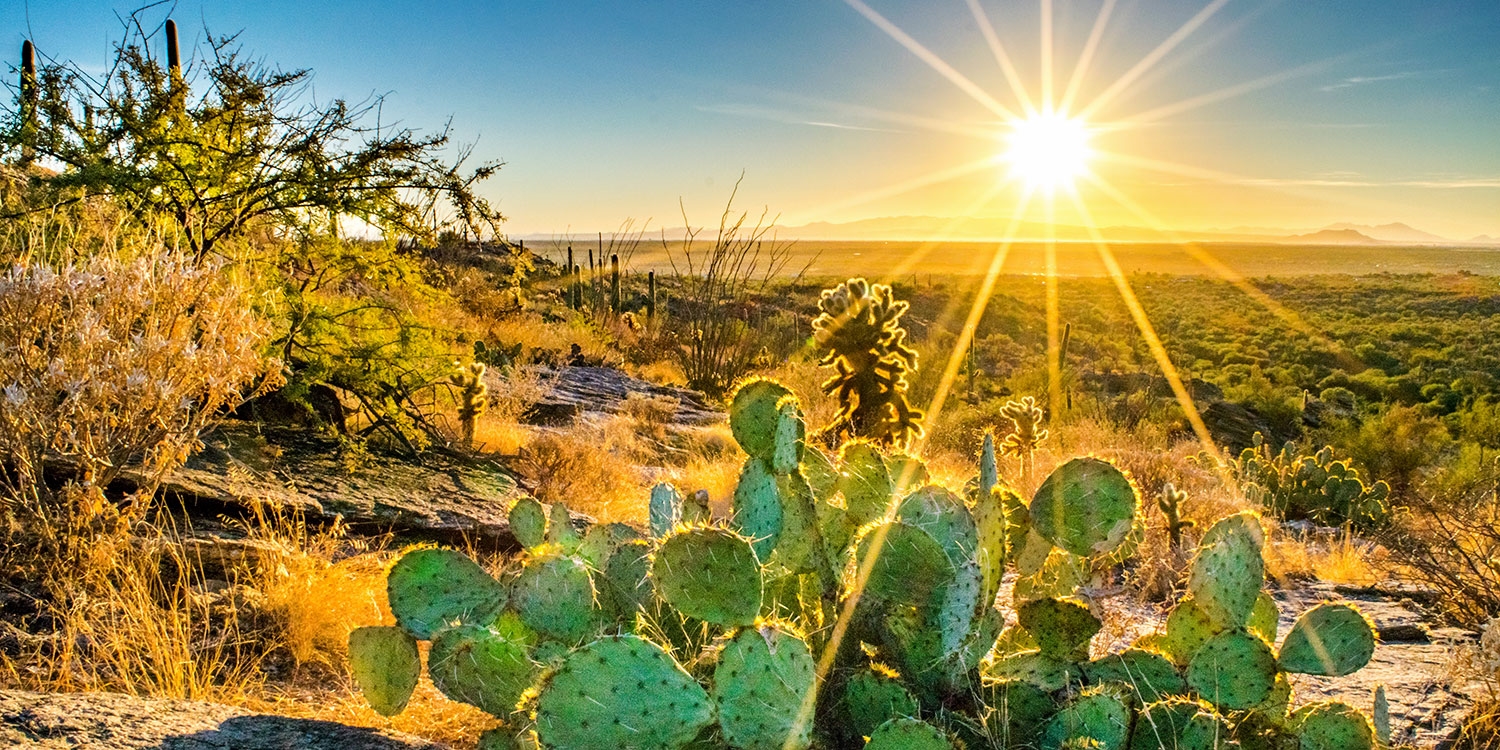 With this Club Member offer, visit Scottsdale through December 