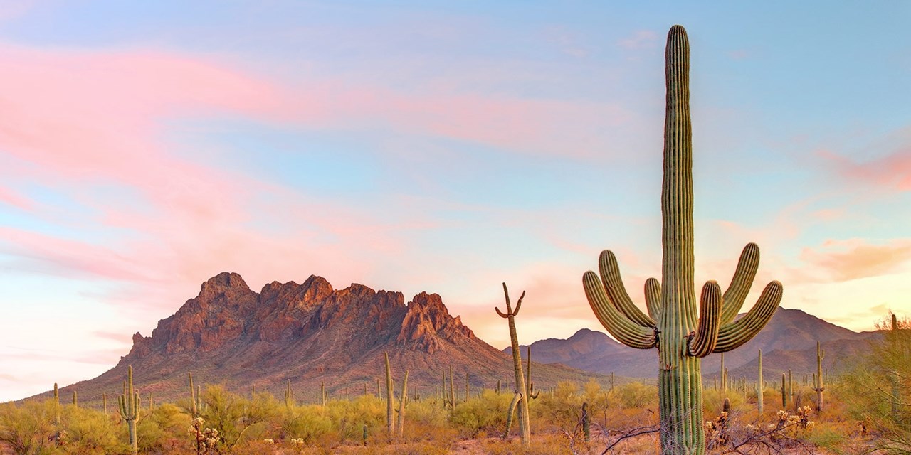 Visit Scottsdale on dates into January